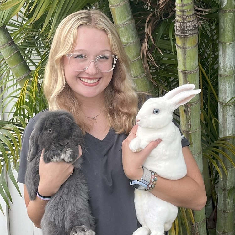 Cornerstone Veterinary Hospital St. Pete